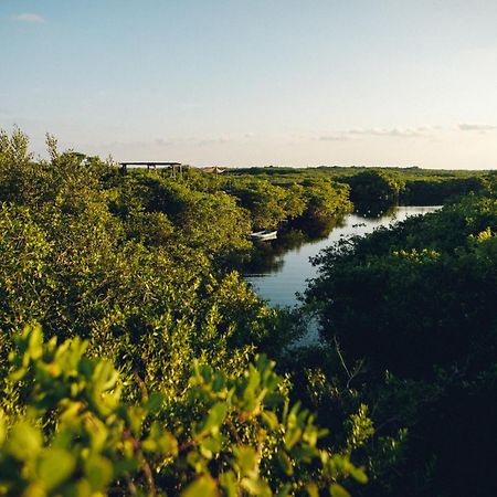 Hotel Uman Glamping & Cenote Tulum Extérieur photo