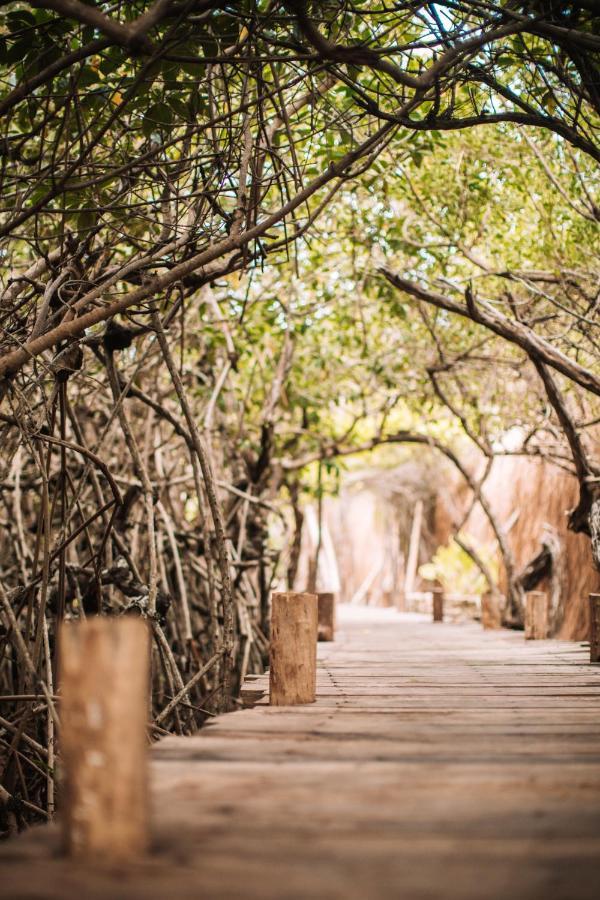 Hotel Uman Glamping & Cenote Tulum Extérieur photo