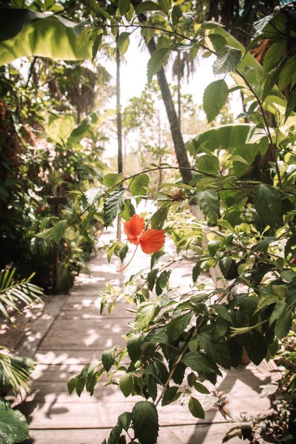 Hotel Uman Glamping & Cenote Tulum Extérieur photo