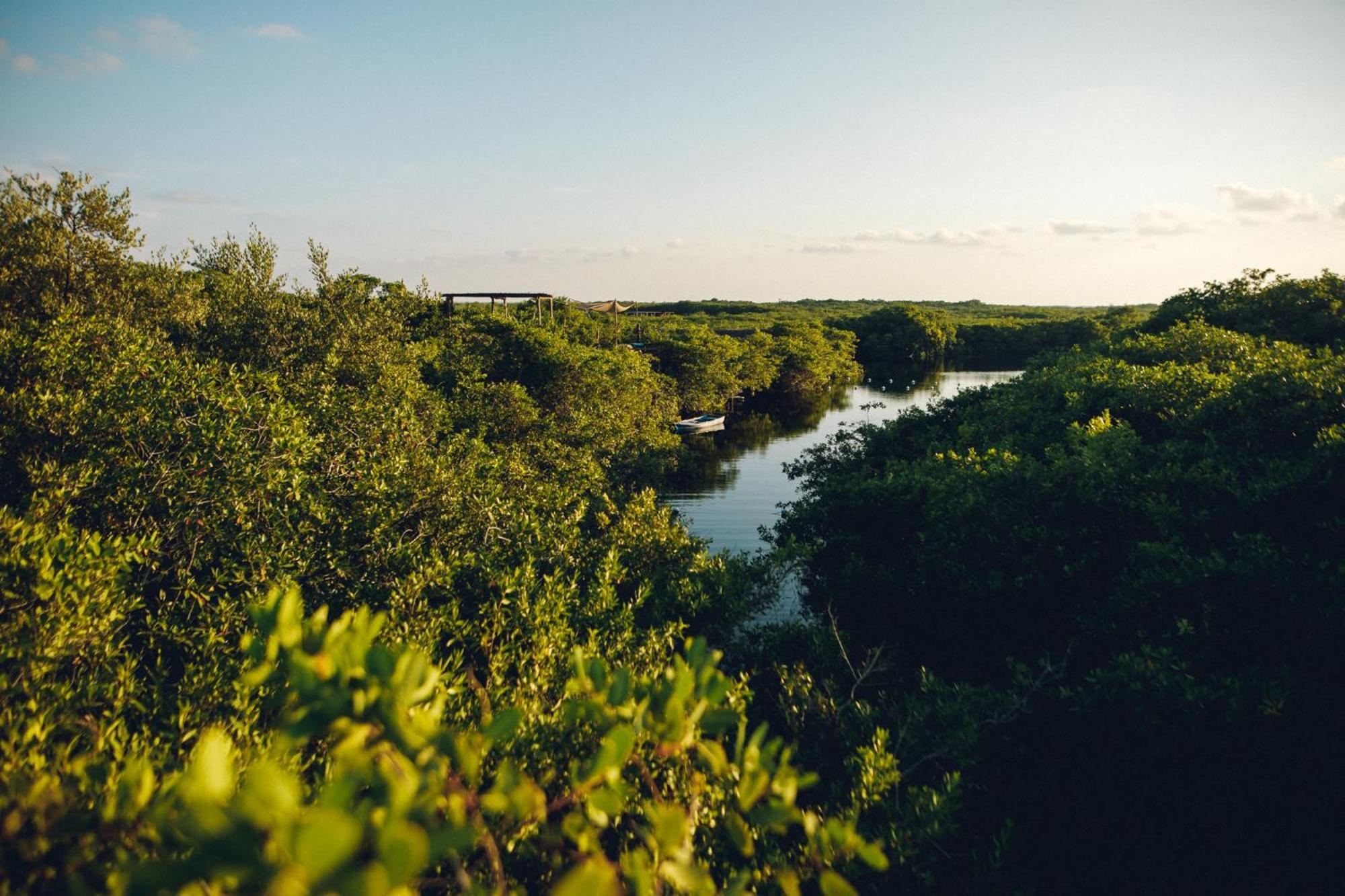 Hotel Uman Glamping & Cenote Tulum Extérieur photo