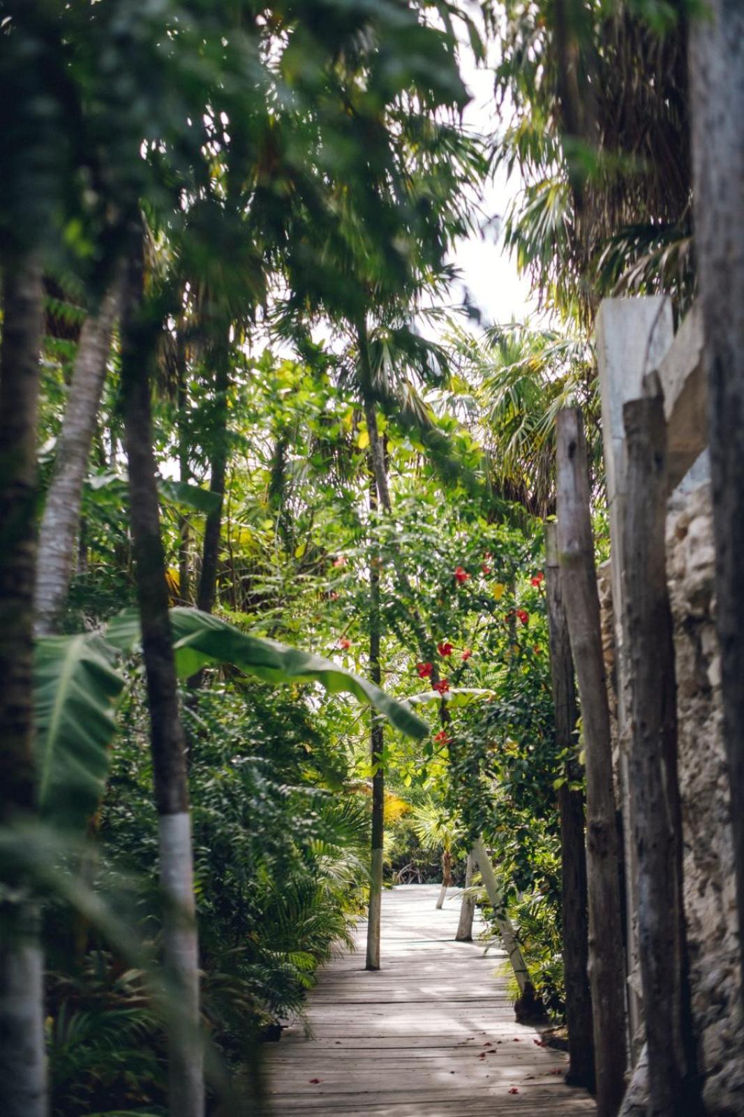 Hotel Uman Glamping & Cenote Tulum Extérieur photo